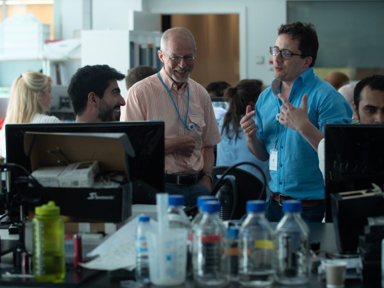 Interacting with neural circuits