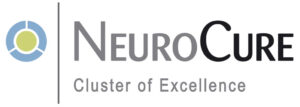 logo neurocure grey green