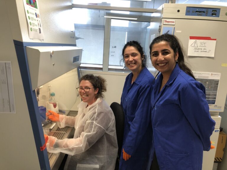 WhatsApp Image 2025-12-11 at 3.10.14 PM